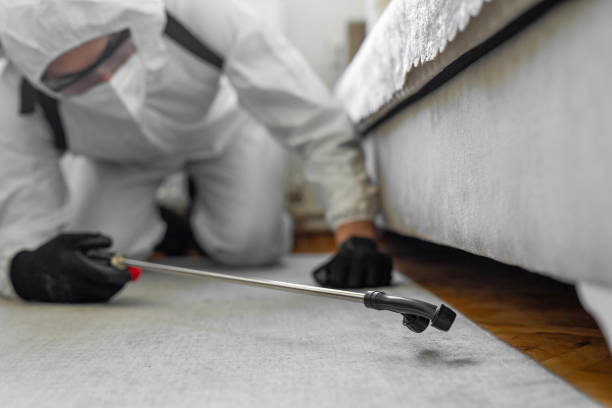 Professional Termite Control technician working in Shelby, NC