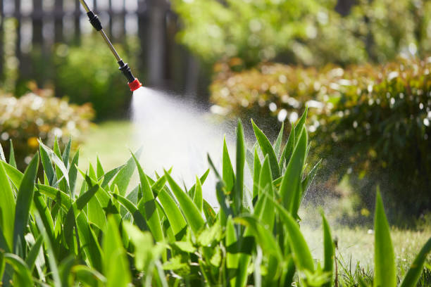 24/7 Emergency Termite Control experts in Shelby, NC