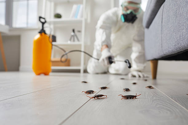 Trusted Termite Control service in Shelby, NC - Nex Pest Control